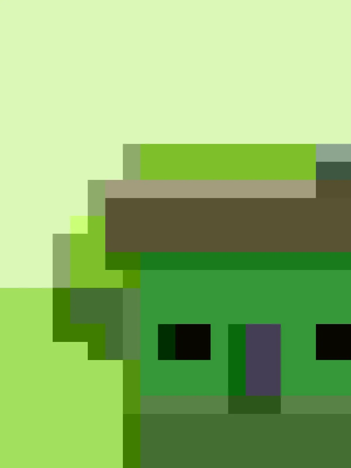 Test Foydalanuvchi